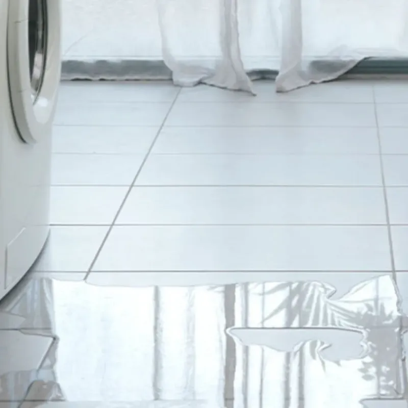 Appliance Leak Cleanup in Withamsville, OH