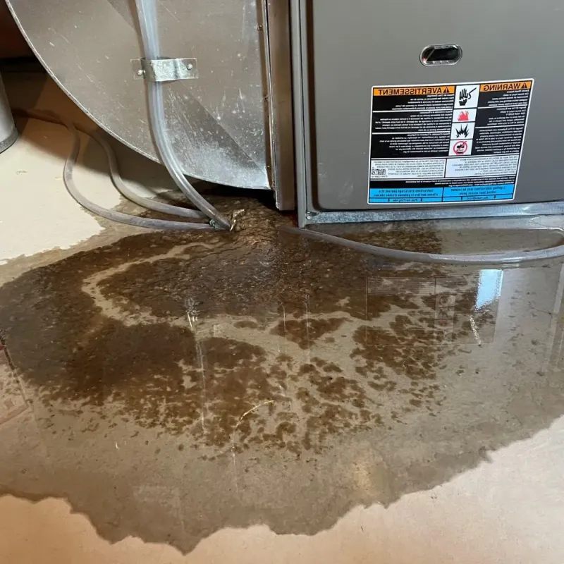 Pipe Burst and Leak Restoration in Withamsville, OH